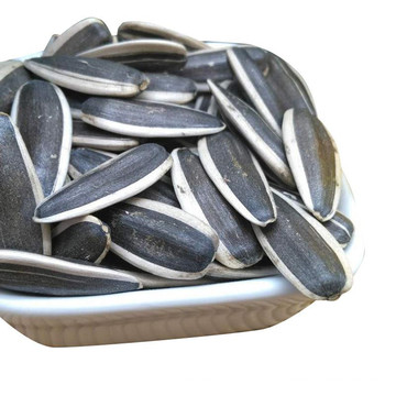 Exporting high quality Chinese sunflower seeds